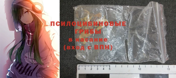 бутират Щучье