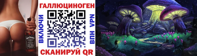 Псилоцибиновые грибы GOLDEN TEACHER Купить где Подпорожье