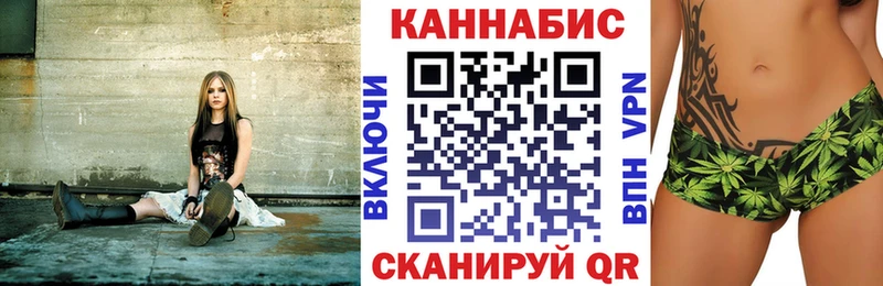 Купить где  Подпорожье  Конопля сатива 